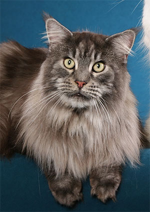 IMG_11072006-09-01_19-31-180001