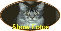 Show Fotos